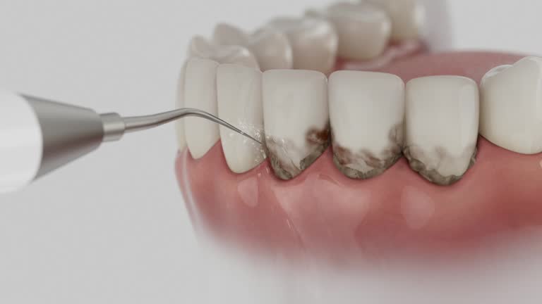 Reliable Dental contractor in Colmar Manor, MD by Dentist Open Now
